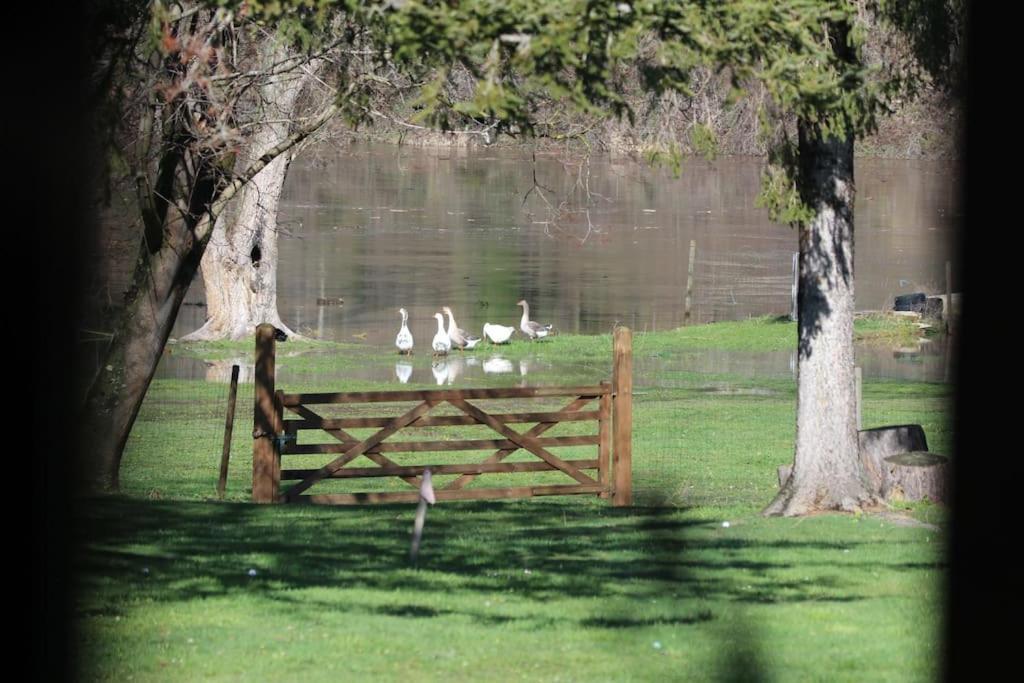 Aurec-Sur-Loire Le Ponton Des Sympetrums מראה חיצוני תמונה